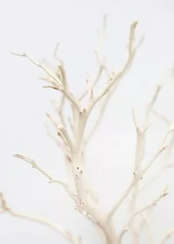 Afloral Dried Flowers Dried Decor Sandblasted Manzanita Branch - 34-38