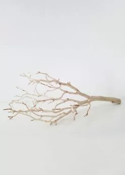 Afloral Dried Flowers Dried Decor Sandblasted Manzanita Branch - 34-38"