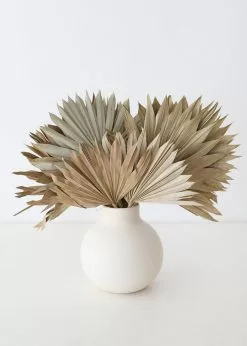 Bundle Of 5 Afloral Natural Sun Palms - 14-20