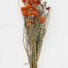Afloral Dried Flowers Orange Dried Marigold Flowers - 14-22"