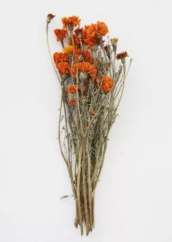 Afloral Dried Flowers Orange Dried Marigold Flowers - 14-22"
