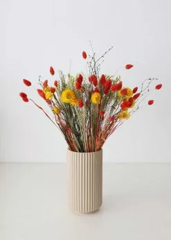 Afloral Mixed Bouquet Of Dried Flowers - 14-24
