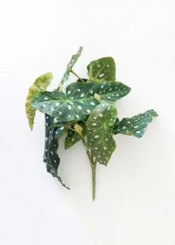 Afloral Artificial Plants Artificial Angel Wing Begonia Leaf Plant - 12"