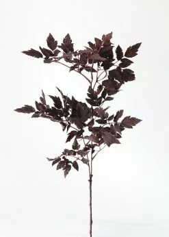Afloral Plum Fake Cimicifuga Ramosa Leaves - 31" Artificial Plants