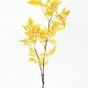 Afloral Fake Cimicifuga Ramosa Fall Leaves - 31"
