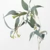 Afloral Artificial Seeded Eucalyptus Leaves - 23"