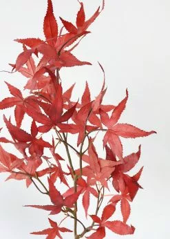 Afloral Fall Red Artificial Japanese Maple Leaves - 27