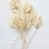 Afloral Dried Flowers Bundle Of 10 Bleached Dried Palm Spears - 14-20"