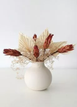 Afloral Bundle Of 6 Red Dried Protea Repens - 7-12