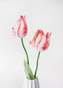 Afloral Tie Dye Pink Artificial Parrot Tulip - 25