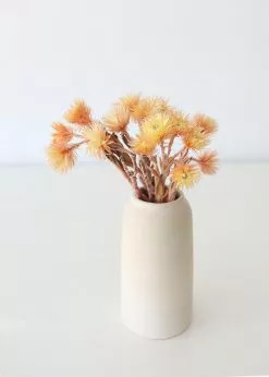 Afloral Dried Peach Silver Daisy Flowers - 10-13