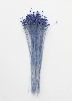 Afloral Petite Blue Dried Floral Buttons - 9-14