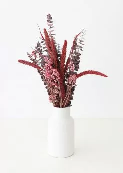 Afloral Dried Flowers Burgundy Preserved Spiral Eucalyptus - 17-24