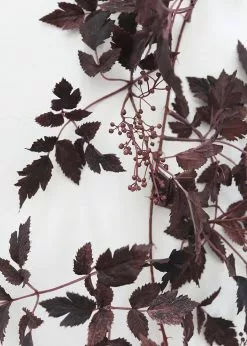 Afloral Artificial Plants Plum Cimicifuga Seeded Garland - 6'