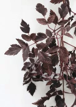 Afloral Artificial Plants Plum Cimicifuga Seeded Garland - 6'