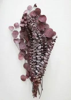Afloral Burgundy Preserved Mixed Eucalyptus Bundle - 22-32"