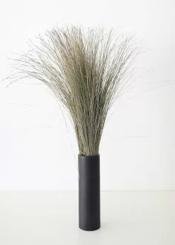 Afloral Preserved Dune Grass - 36