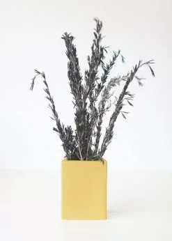 Afloral Dried Flowers Preserved Rosemary Greenery - 18-28