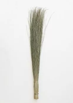 Afloral Preserved Dune Grass - 36