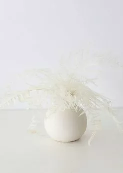 Afloral Dried Flowers Bundle Of 10 Bleached Preserved Ferns - 16-20