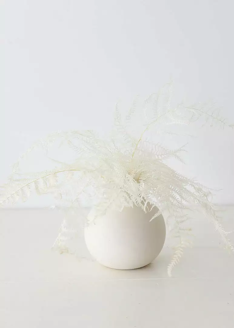 Afloral Dried Flowers Bundle Of 10 Bleached Preserved Ferns - 16-20"