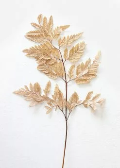 Afloral Bundle Of 10 Preserved Taupe Flat Ferns - 16-20"