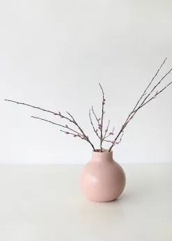 Afloral Preserved Pink Pussy Willow Branches - 20-28"