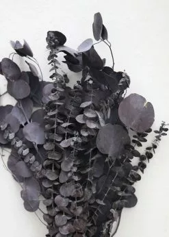 Afloral Preserved Black Purple Mixed Eucalyptus Bundle - 22-32" Dried Flowers