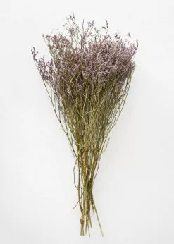 Afloral Natural Dried Purple Statice Flowers - 18-24" Dried Flowers