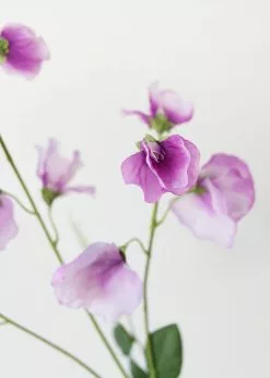 Afloral Purple Lavender Sweet Pea Wildflowers - 26.75"