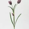 Afloral Purple Fritillaria Lily Wildflowers - 27" Artificial Flowers