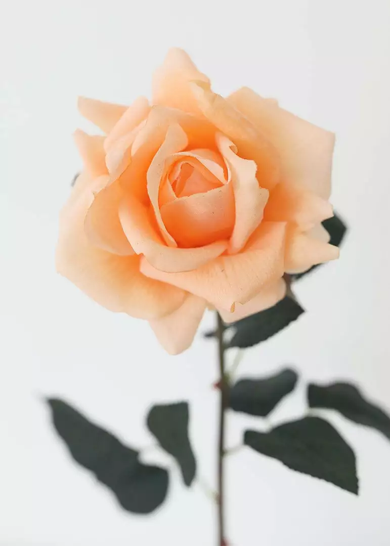 Afloral Peach Real Touch Rose - 20.5" Artificial Flowers