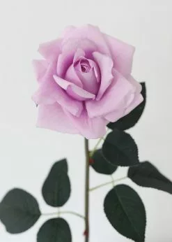 Afloral Artificial Flowers Real Touch Rose In Lavender - 20.5"