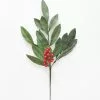 Afloral Fake Outdoor Bay Leaf Pick - 16.5"