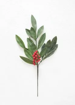 Afloral Fake Outdoor Bay Leaf Pick - 16.5