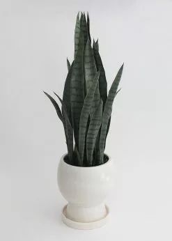 Afloral Vases Ceramic Pot With Saucer And Drainage - 11"