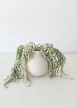 Afloral Green Preserved Amaranthus Hanging Flowers - 32-40" Dried Flowers