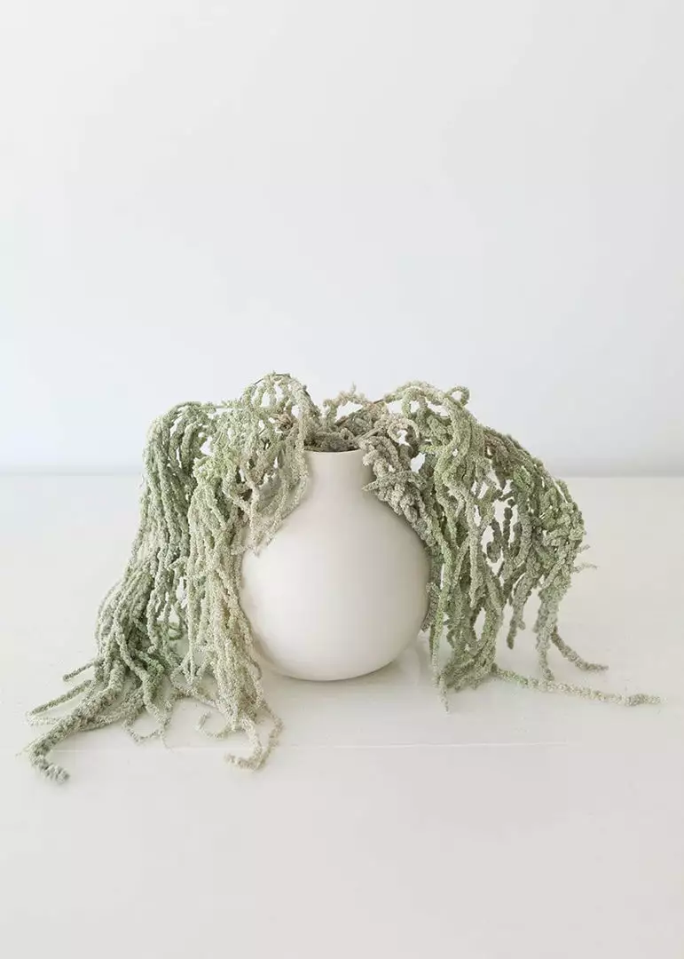 Afloral Green Preserved Amaranthus Hanging Flowers - 32-40" Dried Flowers