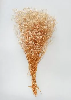 Afloral Dried Flowers Preserved Natural Gypsophila Flowers - 10-28