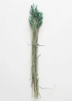 Afloral Sea Blue Dried Bunny Tails - 22-30" Dried Flowers
