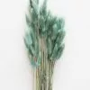 Afloral Sea Blue Dried Bunny Tails - 22-30" Dried Flowers