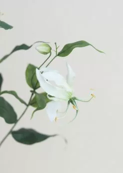 Afloral Artificial Tropical Flowers Gloriosa Lily - 34