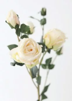 Afloral Faux Dried Rose In Cream - 27.5