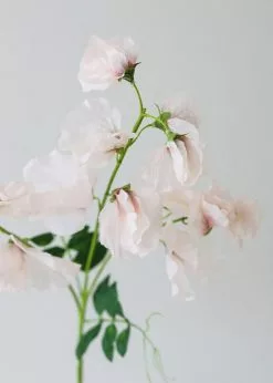 Afloral Artificial Pink Sweet Pea Wildflowers - 26.75" Artificial Flowers