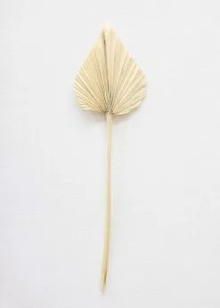 Afloral Dried Flowers Bundle Of 10 Bleached Dried Palm Spears - 14-20"