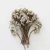 Afloral Dried Flowers White Natural Dried Tallow Berries - 6-8"