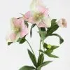Afloral Light Pink Helleborus Artificial Flowers - 25"
