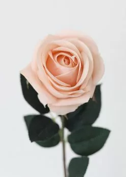 Afloral Artificial Flowers Real Touch Rose In Light Pink - 20"