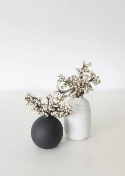 Afloral Dried Flowers White Natural Dried Tallow Berries - 6-8"