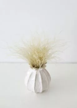 Afloral Off-White Ornamental Feather Grass - 8-12